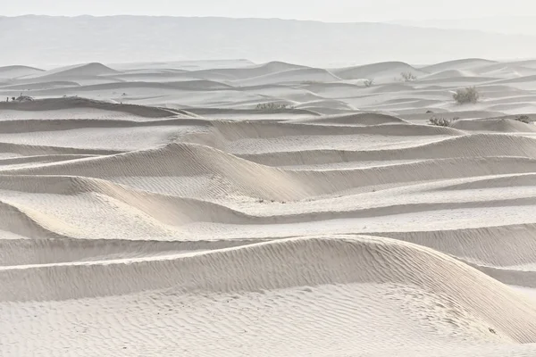 Diffused Light Dawn Shifting Sand Dunes Taklamakan Keriya River Flowing — Stock Photo, Image