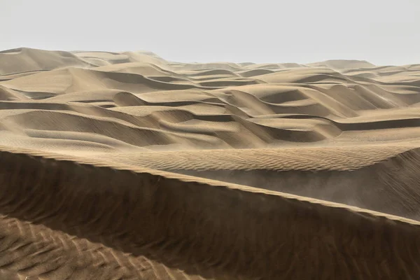 Ранним Утром Свет Над Цепями Барханских Песчаных Дюн Покрывающих Поверхность — стоковое фото