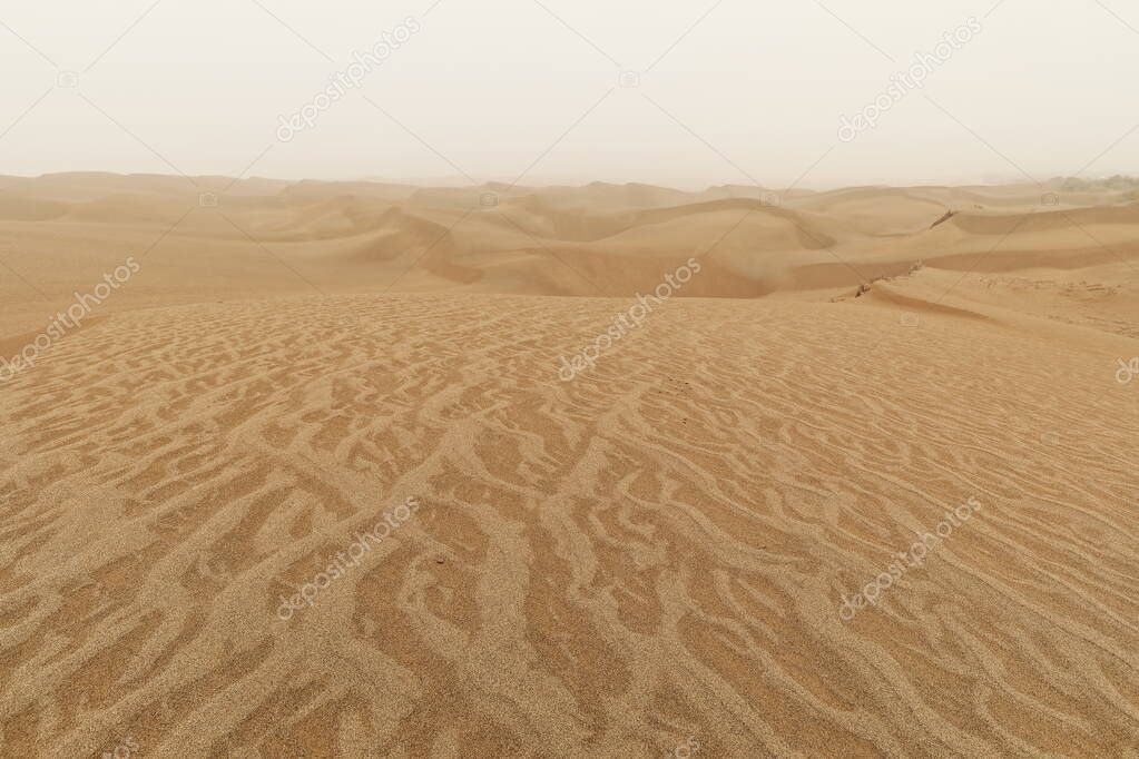 Diffused light of morning over chains of moving sand dunes covering the surface of the Taklamakan Desert some of them reaching up to 300 ms.high. Qiemo Cherchen county-Xinjiang Uyghur region-China.