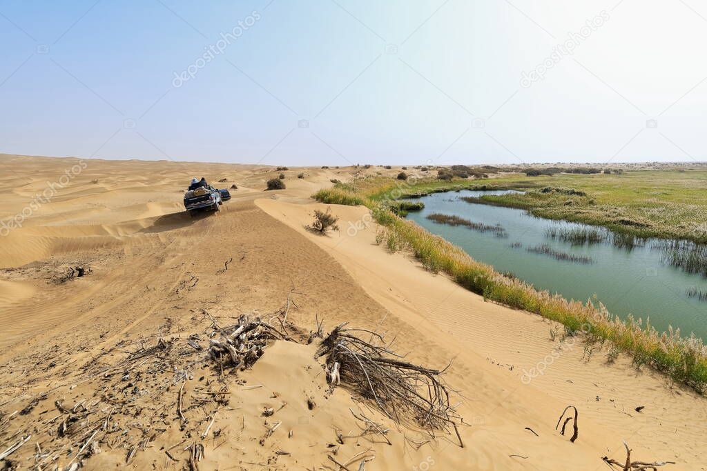 Keriya River supplies several oases-flows N.into the TaklaMakan desert to an endorheic delta where it gets lost in the sand-off road vehicles running along. Yutian County-Xinjiang Uyghur Region-China.