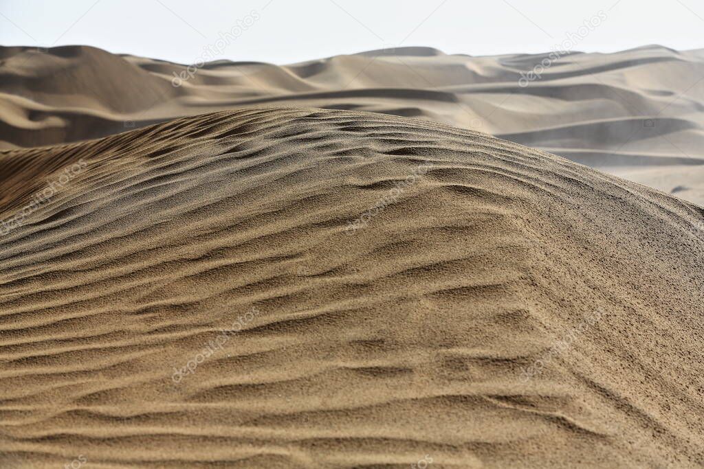 Early morning light over chains of barchans-moving sand dunes covering the surface of the Taklamakan Desert some of them reaching up to 300 ms.high. Qiemo Cherchen county-Xinjiang Uyghur region-China.
