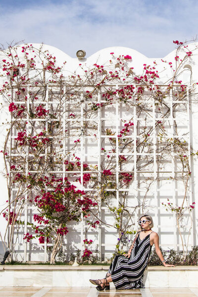 привлекательная молодая женщина в платье и солнцезащитные очки сидя и глядя в сторону рядом, а стена с цветами в Египте
  