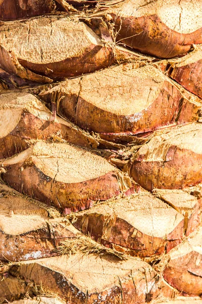 Texture — Stock Photo