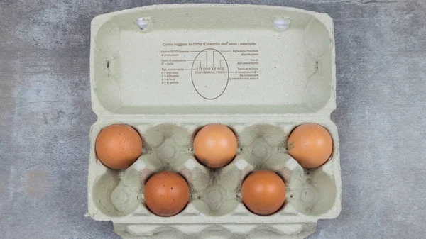 Plastic tray with eggs on a beton background, minimalism trend, top view