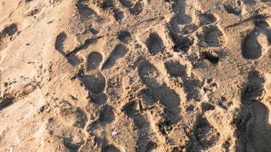 Bir sürü ayak izi olan kumsal manzarası. arkaplan