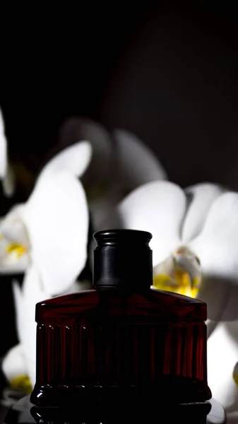 Frasco de perfume negro con flores de orquídea sobre fondo negro. copiar espacio, texto, diseño, banner. concepto de belleza — Foto de Stock