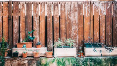 flowerpots in the backyard. background with wooden boards