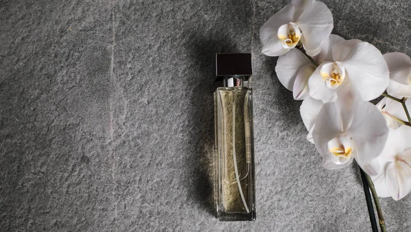 Hermosa composición con botella de perfume sobre fondo gris, plano — Foto de Stock