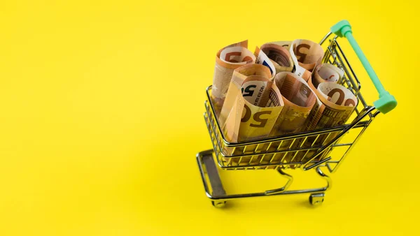 Supermarktkar staat op een veld met eurogeld — Stockfoto