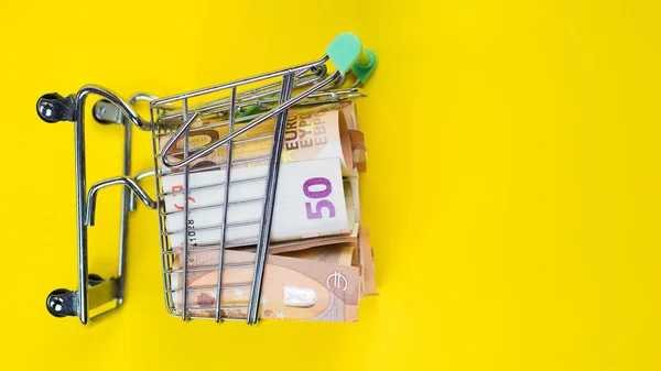 Supermarktkar staat op een veld met eurogeld — Stockfoto