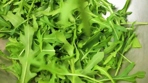 Arugula falls into the plate, slow motion — Stock Video