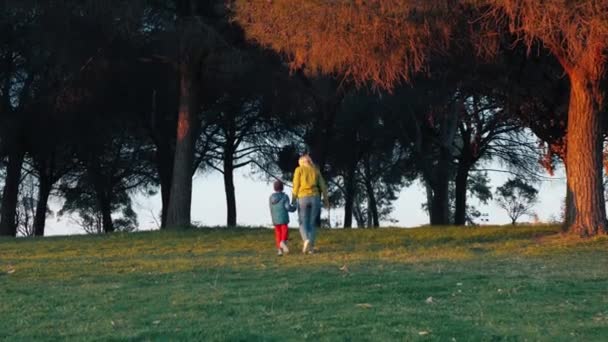 Mãe e bebê relaxando no parque. conceito de infância feliz. O bebé segura a mão das mães. família feliz com bebê andando à noite fora da cidade — Vídeo de Stock