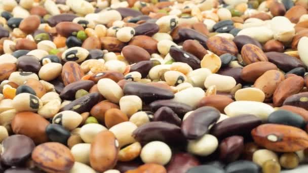 Bean. High protein edible legumes ready to cook. Close-up, selective focus, healthy protein food — Stock Video