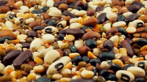 Råa korn blanda bönor utsäde mat ekologisk ovanifrån textur, fem bönor, kompletterande livsmedel, Hög proteinhalt hälsosam mat, videofilmer — Stockvideo