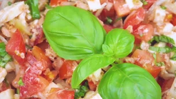 Tomatensalade met tonnen mozzarella en een groot basilicumblad. close-up — Stockvideo