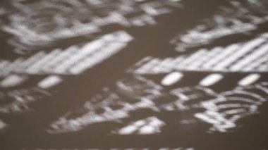 Güneş ve pencere, sabah ışığında duvarda gölgeler oluşturur.