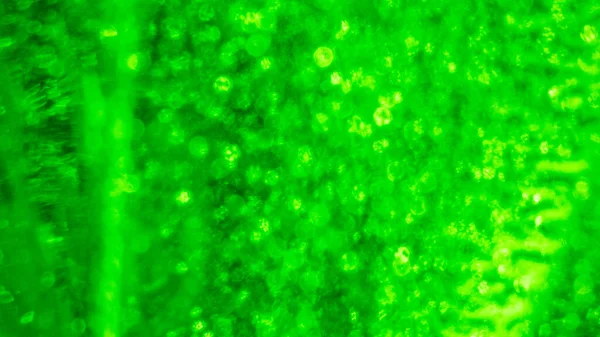 Расплывчатый Абстрактный Фон Праздника Пузырьки Воздуха Зеленой Жидкости Фон — стоковое фото