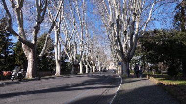 Yol ve ağaçların kenarları..