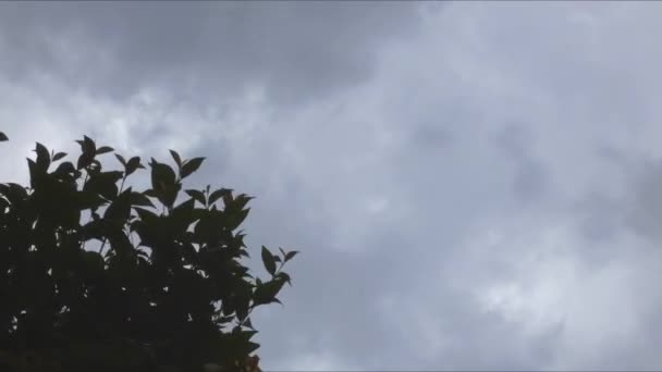 青い背景のタイムラプスの上を移動する雲 — ストック動画
