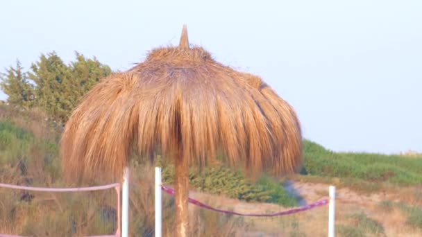 Handgemaakte rieten luifel op het strand. Zon paraplu op zandstrand achtergrond — Stockvideo