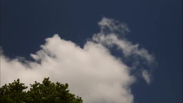 Όμορφο timelapse του ηλιόλουστο μπλε του ουρανού με κυμαινόμενο λευκό μαλακά ειρηνικά σύννεφα και πράσινα καλοκαιρινά δέντρα αυξάνεται στη γωνία του πλαισίου — Αρχείο Βίντεο