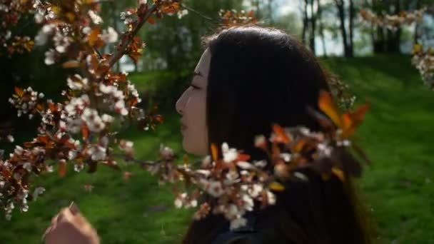 Entspannte asiatische Mädchen in blühenden Kirschblüten — Stockvideo