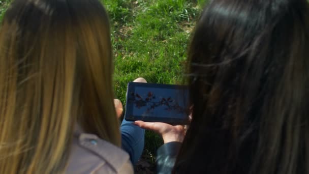 Krásné ženy, surfování na netu s digitálním tabletu — Stock video