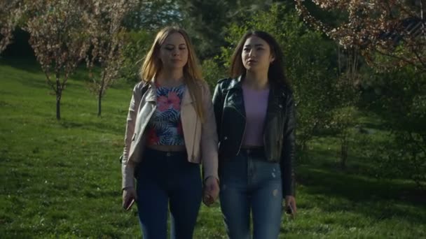 Chatta unga kvinnor promenader i blommande våren park — Stockvideo
