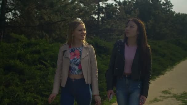 Alegres amigas disfrutando paseando en el parque de primavera — Vídeo de stock