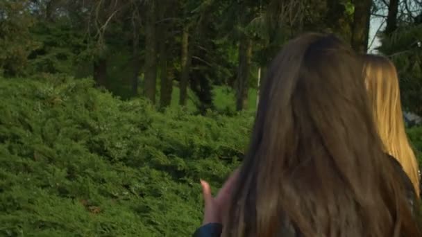 공원에서 산책 하는 다민족 여자 채팅 — 비디오
