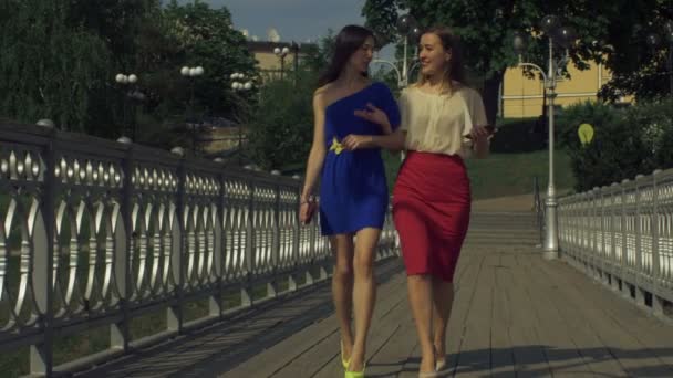 Sorglösa eleganta kvinnor gå på bron under våren — Stockvideo