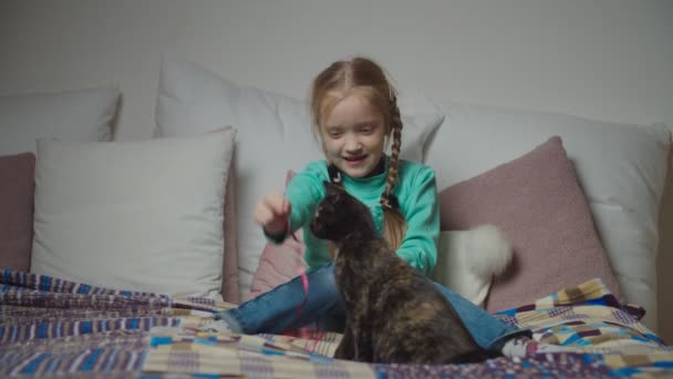 Cheerful child playing with kitten on bed at night — Stock Video