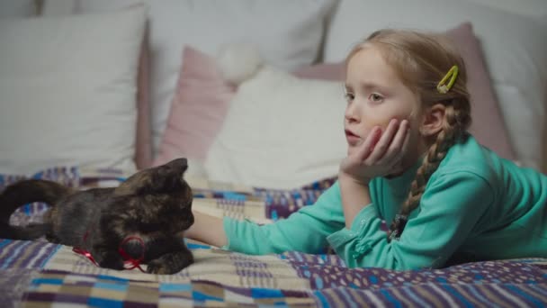 Adorável menina de estimação bonito gatinho com amor na cama — Vídeo de Stock