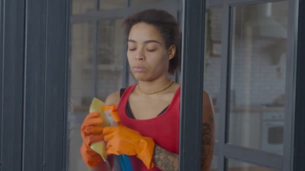 Okno kobiety czyszczącej szmatą i sprayem do detergentów — Wideo stockowe