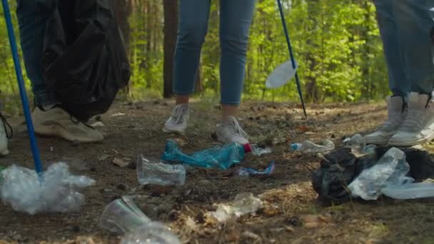 Grupo de voluntários arrumando lixo na floresta — Vídeo de Stock