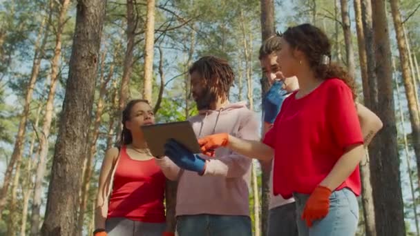 Interracial diverso equipo de voluntarios trabajando al aire libre — Vídeos de Stock