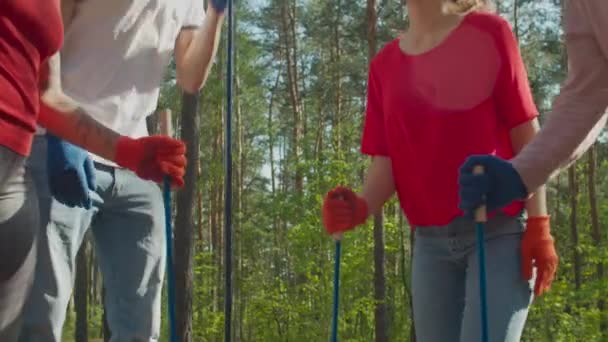 Diverse frivillige hold giver high five i naturen – Stock-video