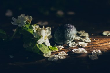 Kırsal ahşap arka planda, elma çiçeği dallı Paskalya yumurtaları.