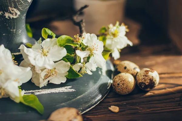 Yuvarlak ahşap kutunun içindeki paskalya yumurtaları kırsal ahşap arka planda elma çiçeği dallarıyla birlikte.