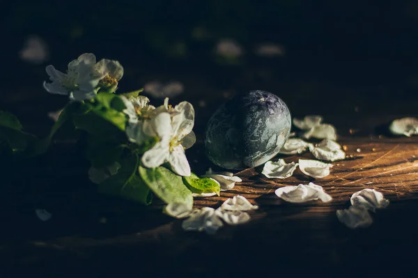 Kırsal ahşap arka planda, elma çiçeği dallı Paskalya yumurtaları.