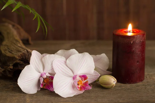 Concepto de spa con vela y orquídea bodegón abstracto —  Fotos de Stock