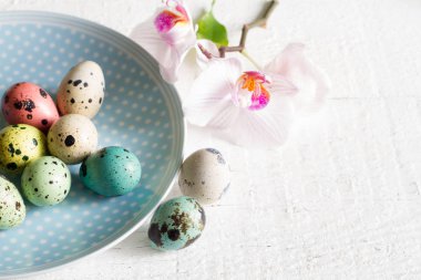 Plaka ve beyaz arka plan üzerinde orkide soyut kavram Paskalya yortusu yumurta