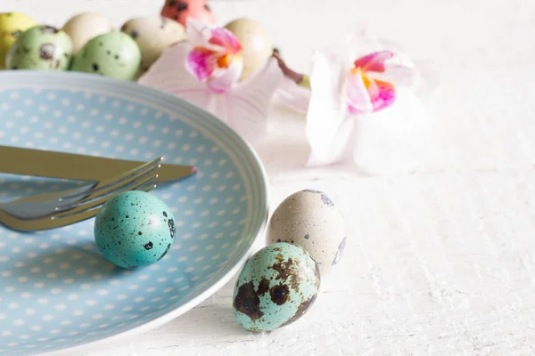 Huevos de Pascua en plato y orquídea concepto abstracto sobre fondo blanco —  Fotos de Stock