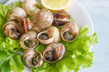 Salyangoz sarımsak plaka gıda kavramı ile