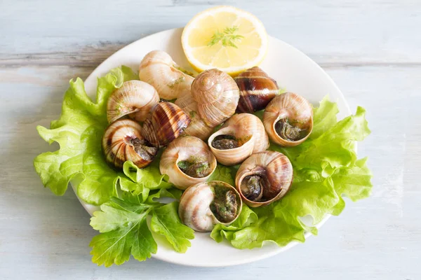 플레이트 음식 개념에 마늘과 달팽이 — 스톡 사진
