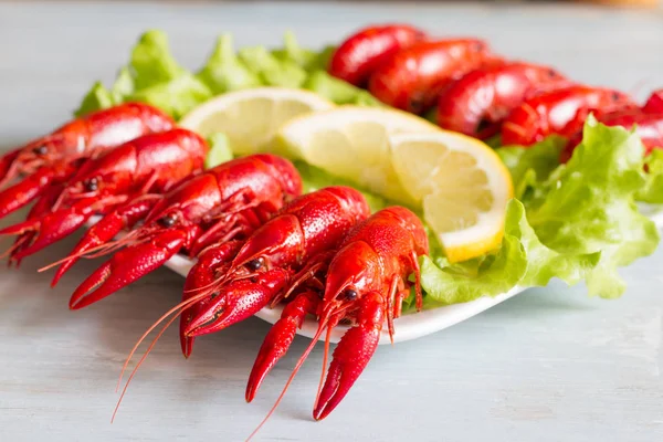 水煮红龙虾上板食品的概念 — 图库照片