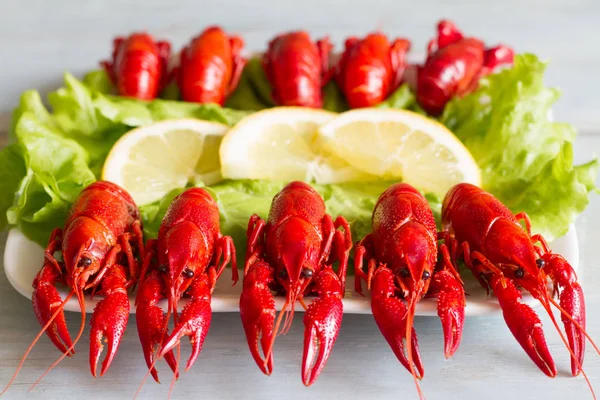 水煮红龙虾上板食品的概念 — 图库照片