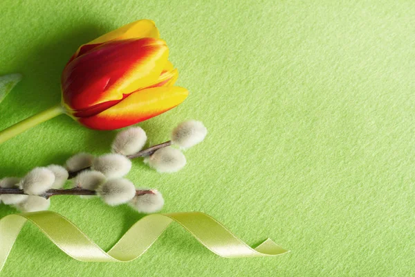 Ostergrün abstrakte Hintergrundkomposition mit Tulpen — Stockfoto