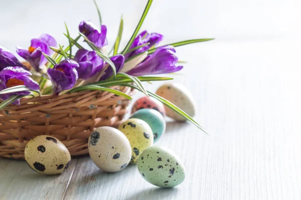 Bunt bemalte Ostereier und Frühlingskrokusse — Stockfoto