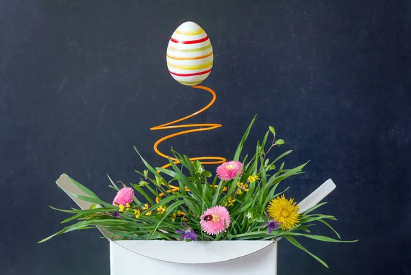 Osterei und Frühlingsblumenwiese in der Schachtel überraschen abstraktes, einzigartiges Konzept — Stockfoto